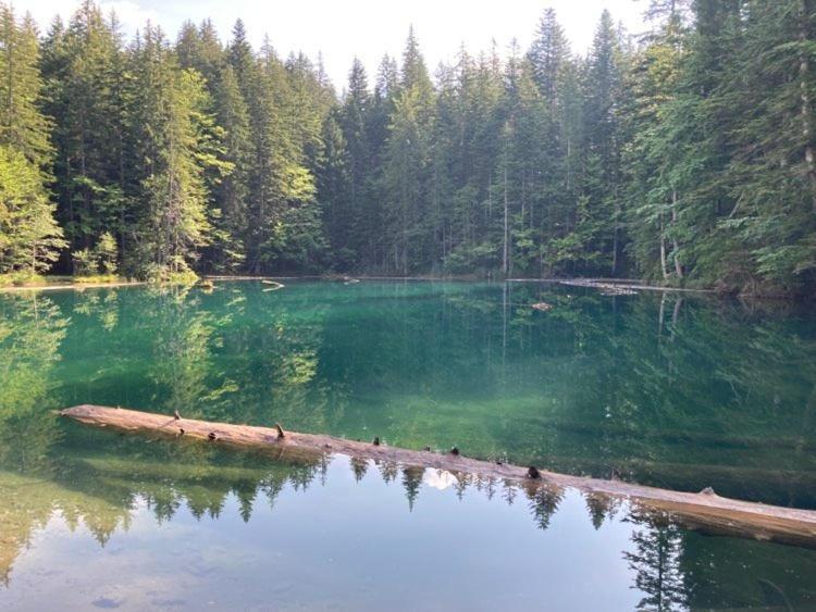 Fewo Berk Kuhnburg Экстерьер фото